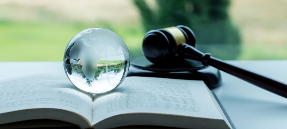 Intellectual Property in Trade